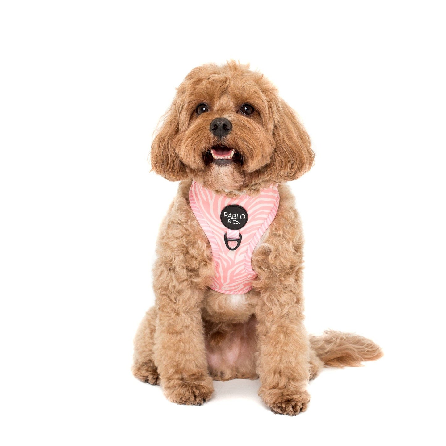 Pink Zebra : HARNAIS AJUSTABLE POUR CHIEN: Petit