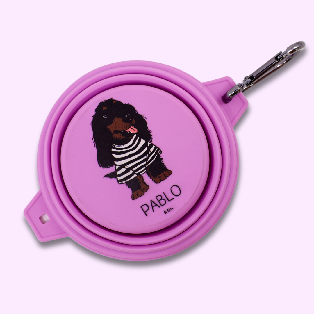 Cuenco plegable para agua/comida para perros: Lavanda