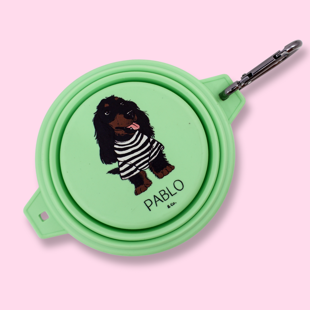 Cuenco plegable para agua/comida para perros: Lavanda
