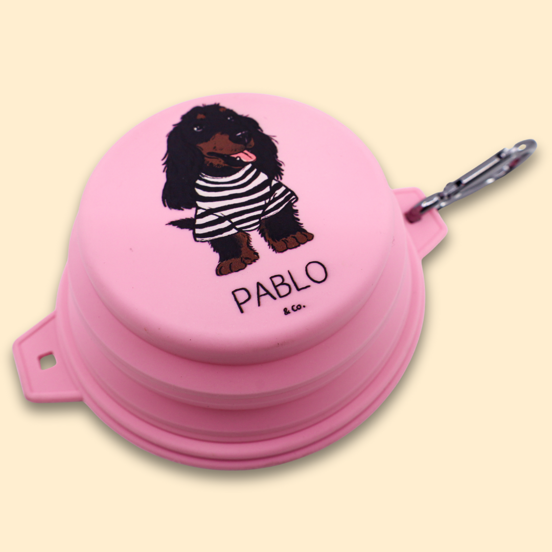 Cuenco plegable para agua/comida para perros: Lavanda