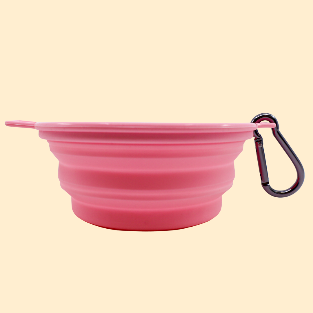 Cuenco plegable para agua/comida para perros: Lavanda