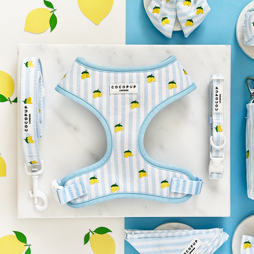 Collar Living La Vida Lemon con diseño de limones bordados: Grande