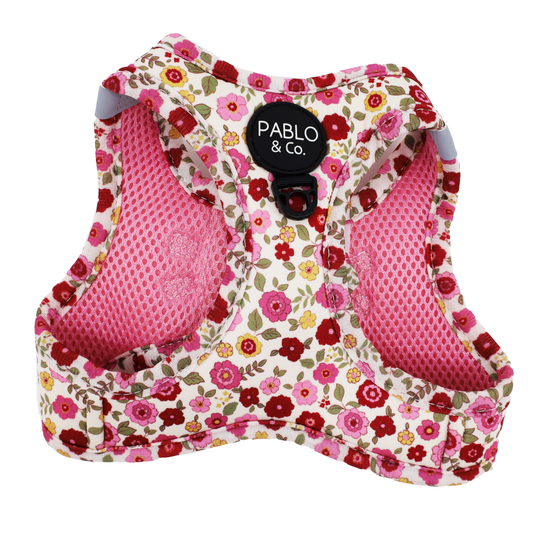 Primrose : Harnais pour chat Step In: PETIT