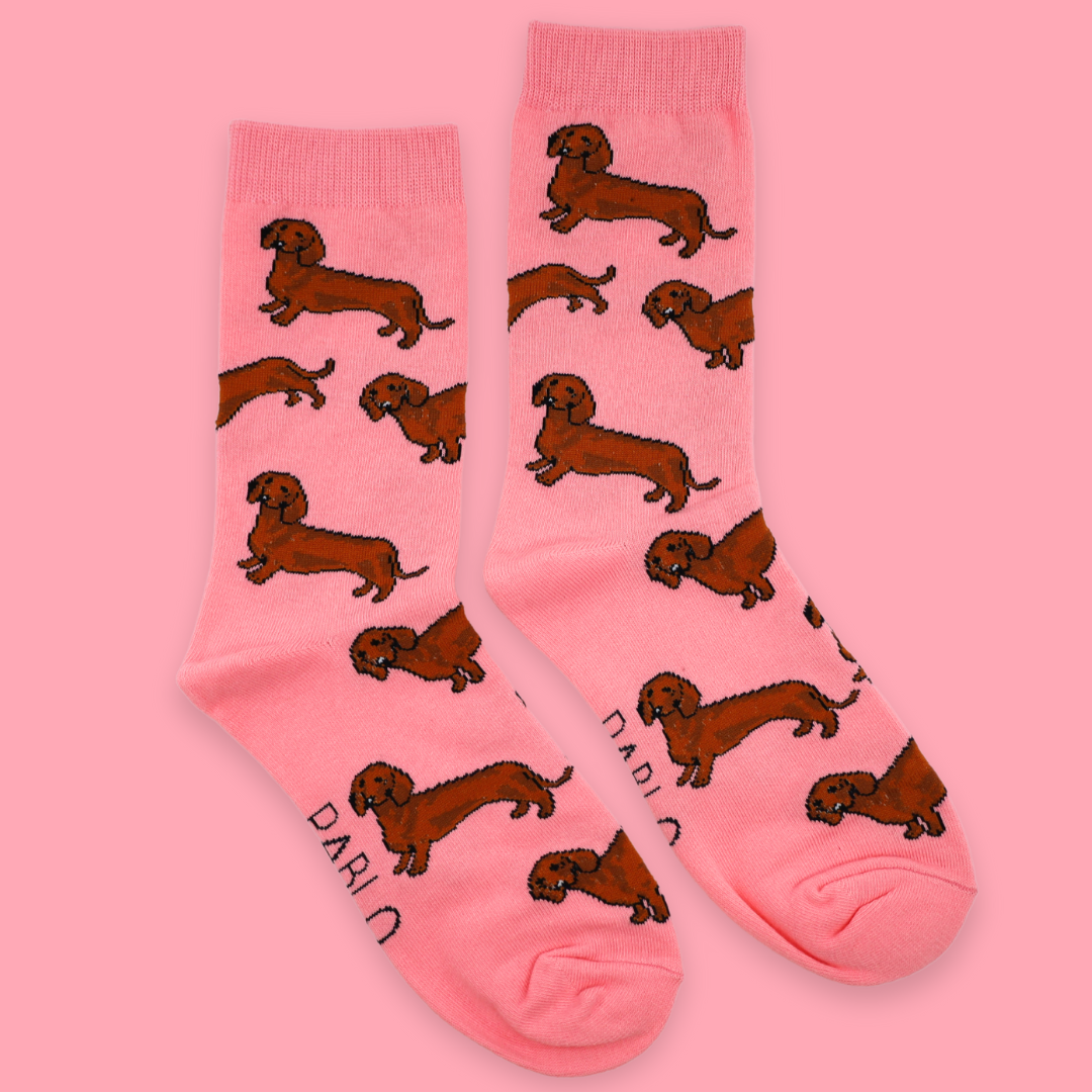 Chaussettes Dog Race: Poméranie