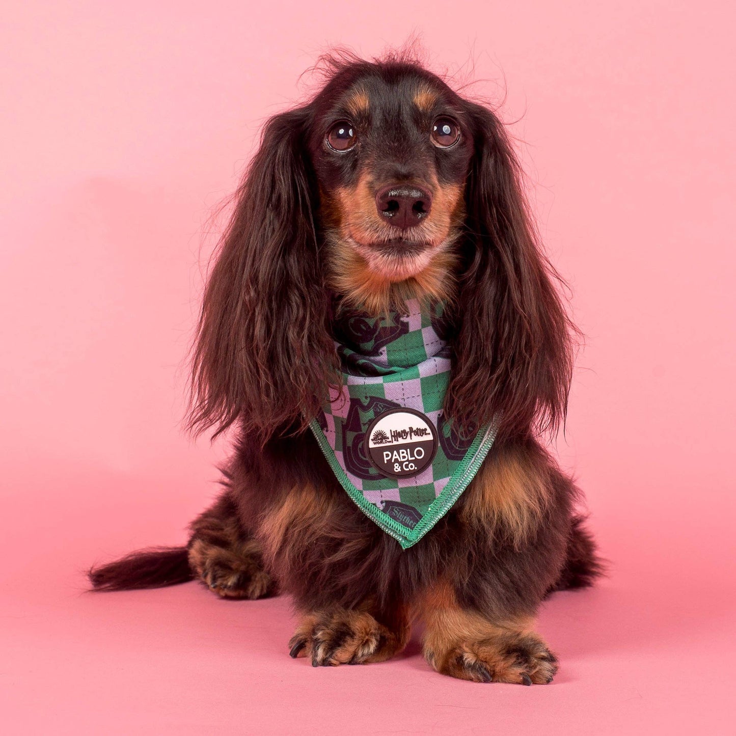 Harry Potter - Slytherin: Bandana para perro: Mediano