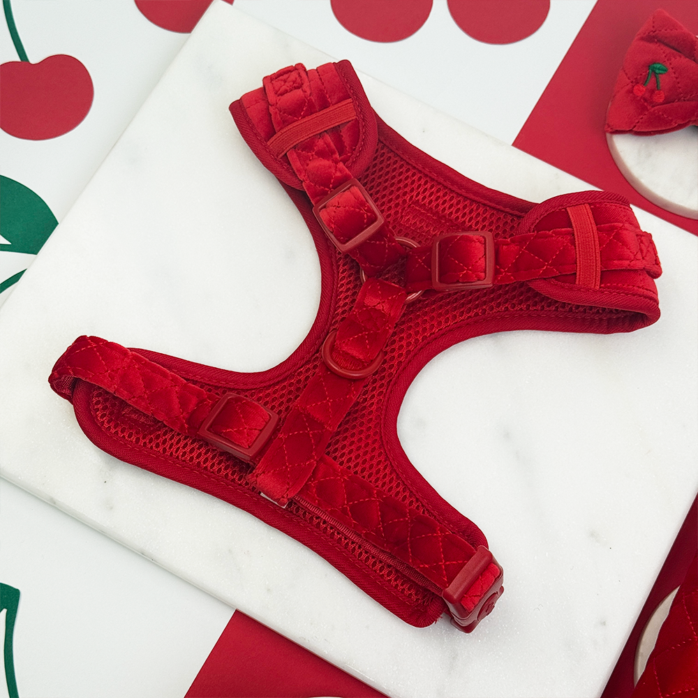 Harnais Réglable de Cou Cherry Velvet Crush: M