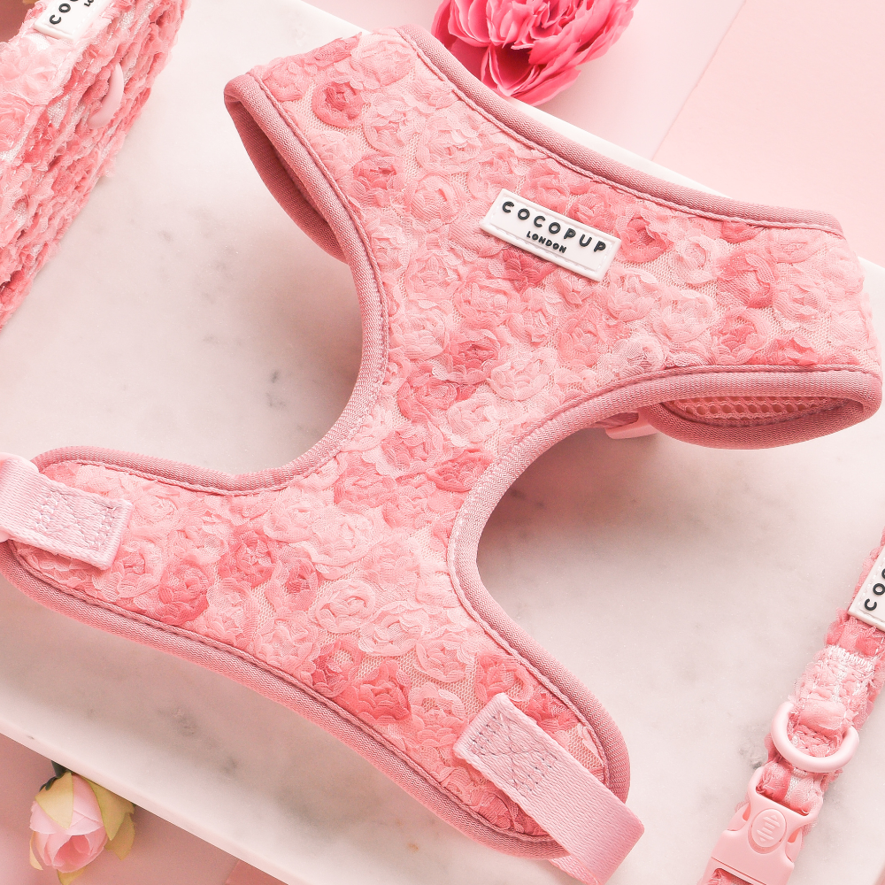 Arnés de cuello ajustable Peony Pup: M