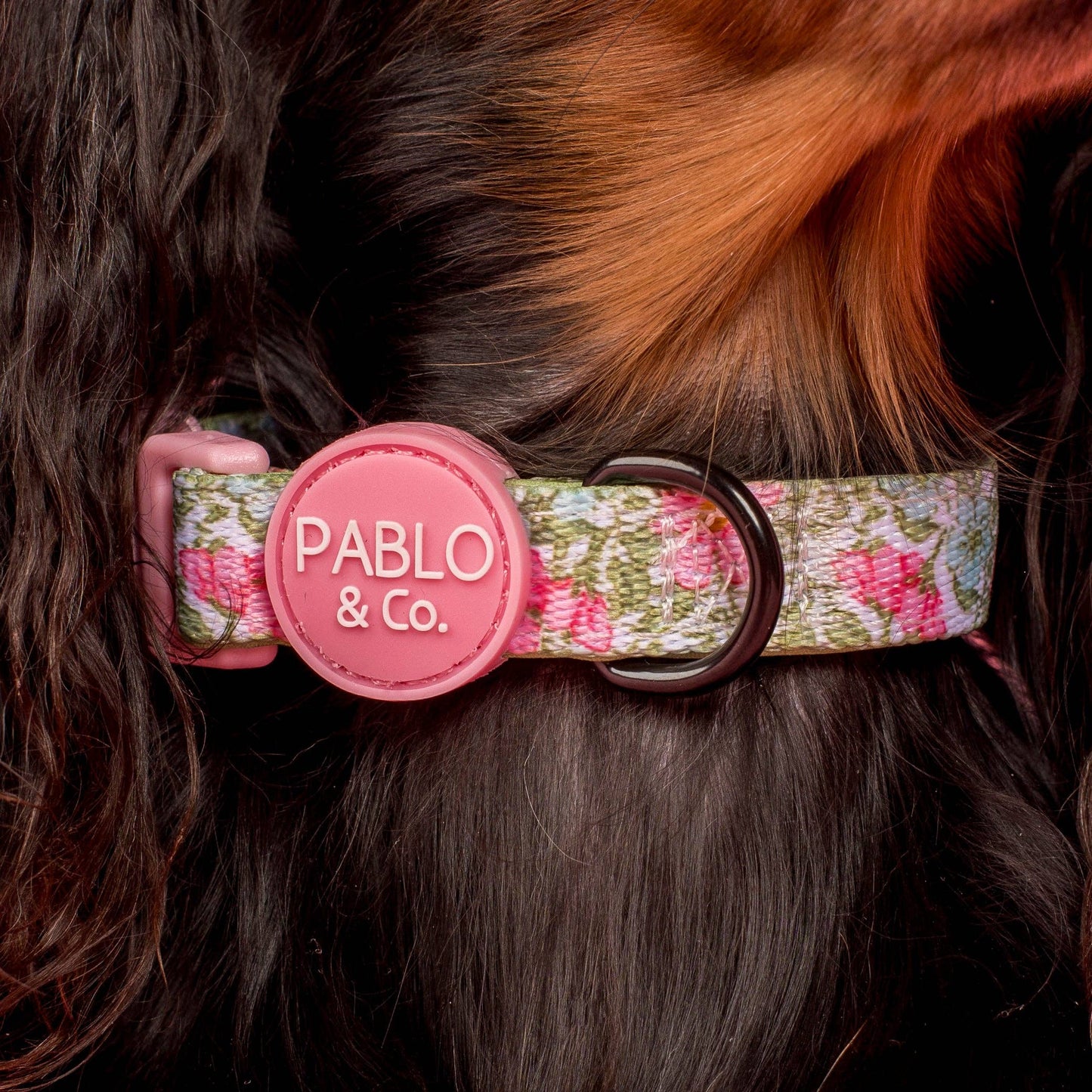 Flora y Helecho: Collar para perro