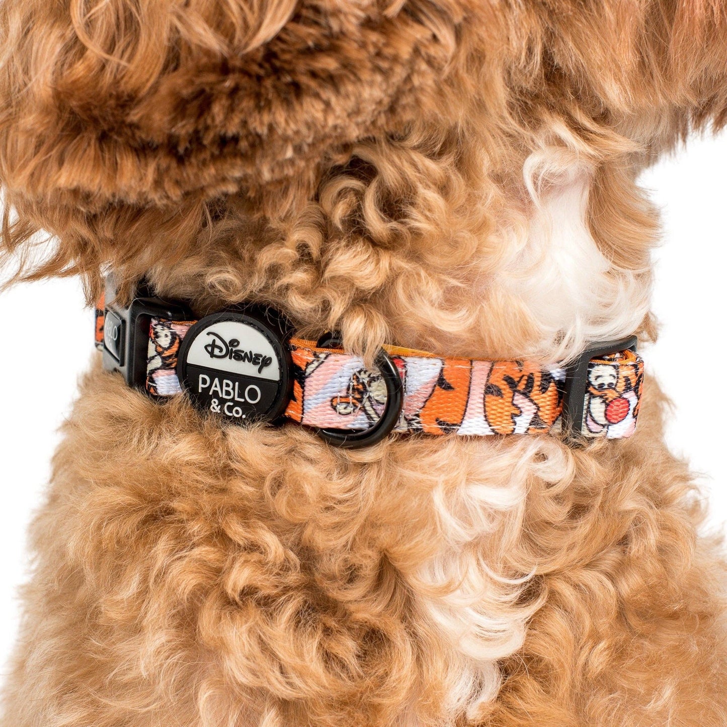 The One of a Kind Tigger: collar para perro: S