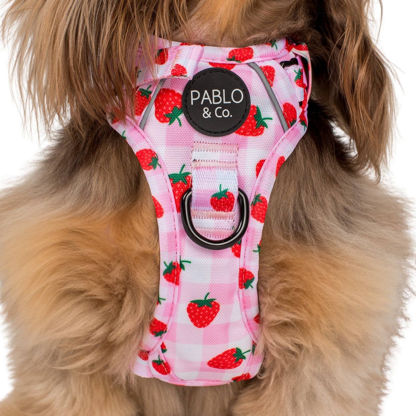 Strawberry Fields : harnais pour chien No Pull Adventure: S