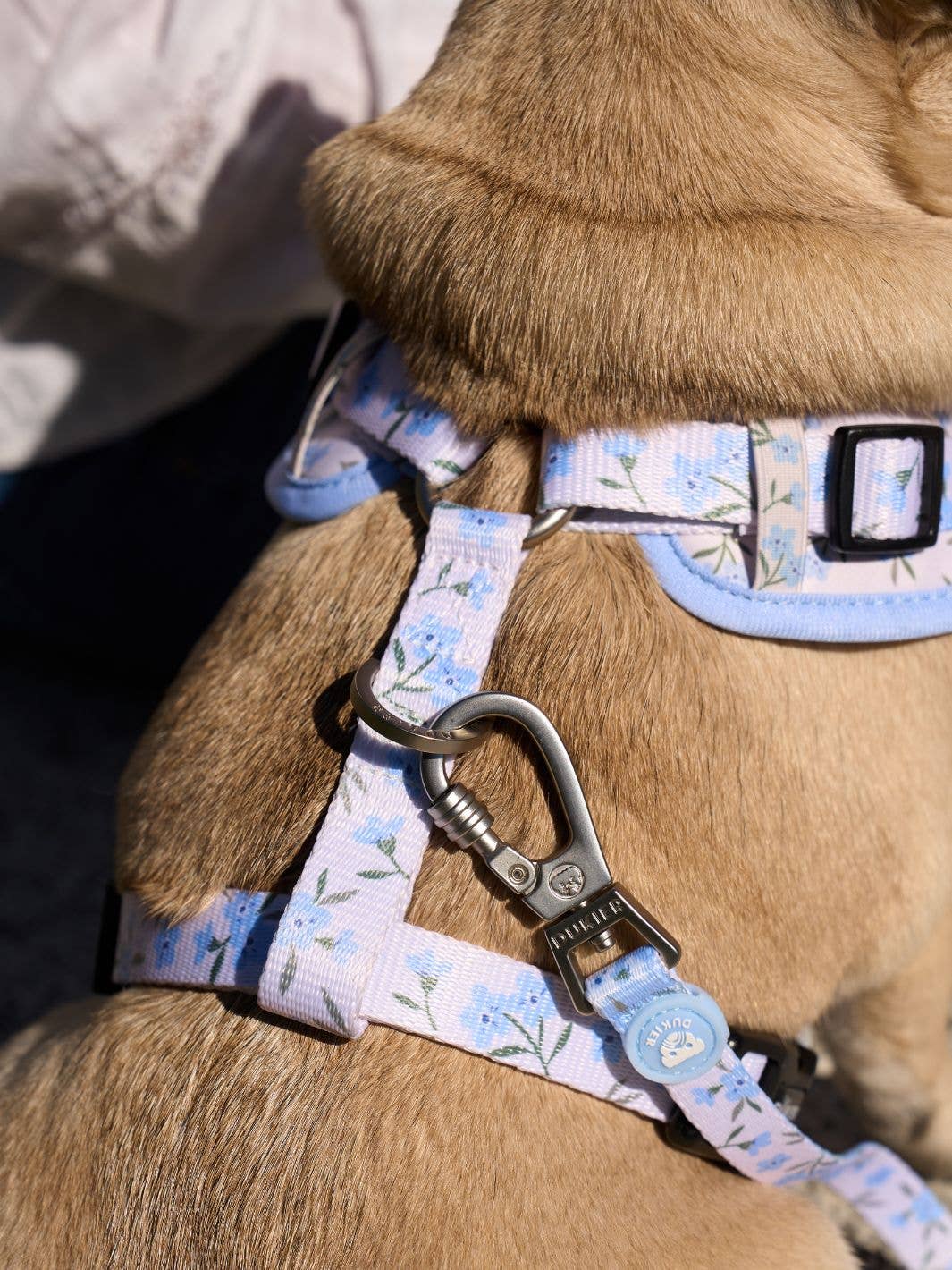 CORREA PARA PERRO BLOOM: L