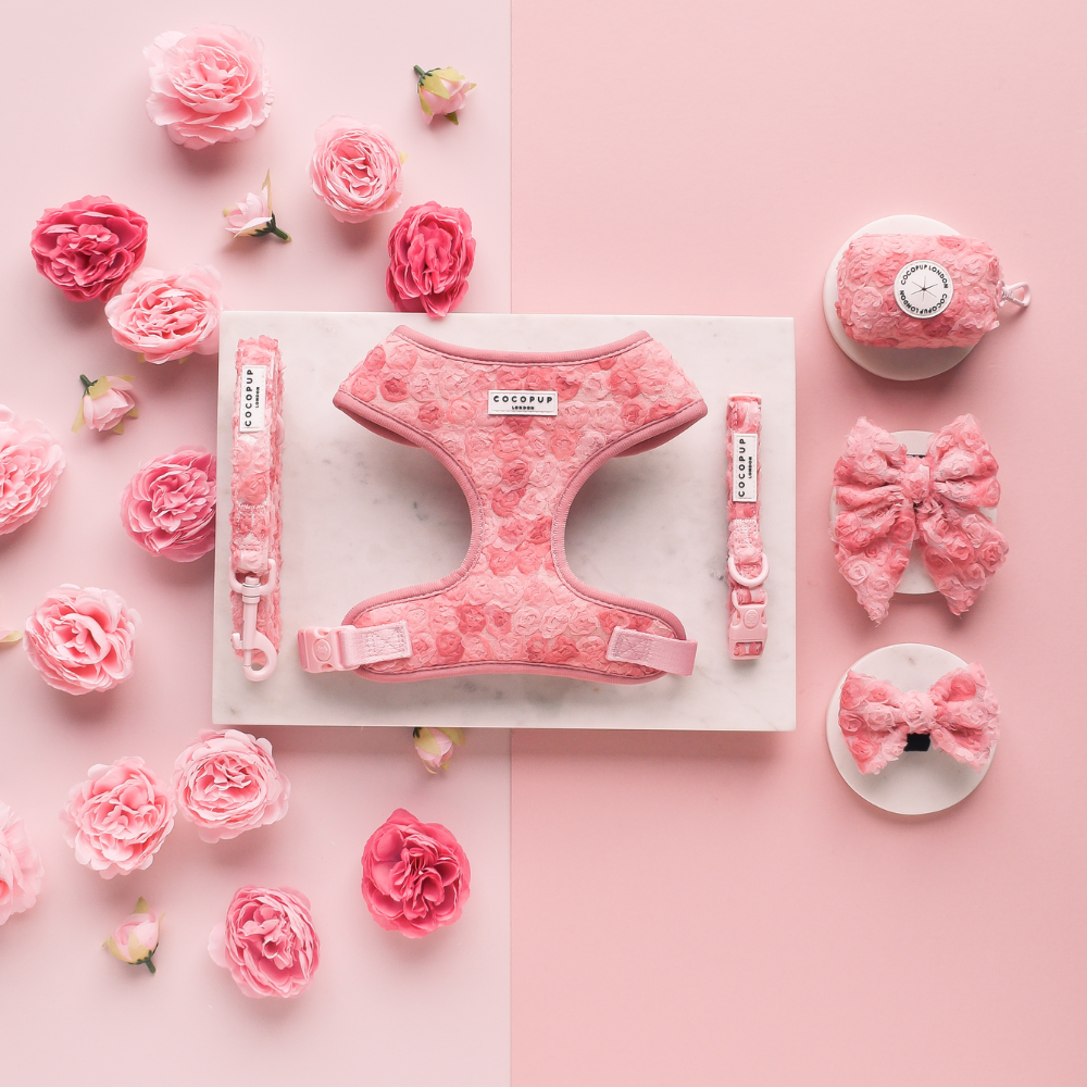 Arnés de cuello ajustable Peony Pup: M