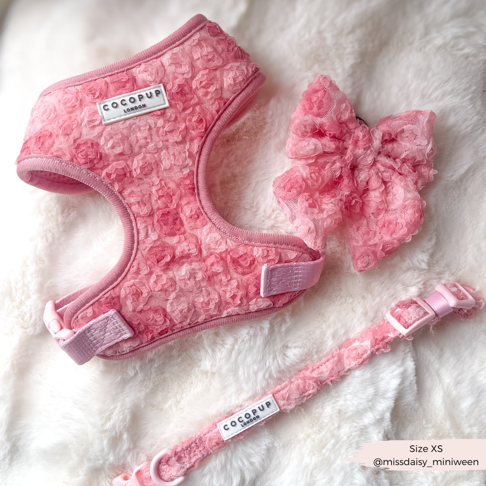 Arnés de cuello ajustable Peony Pup: M