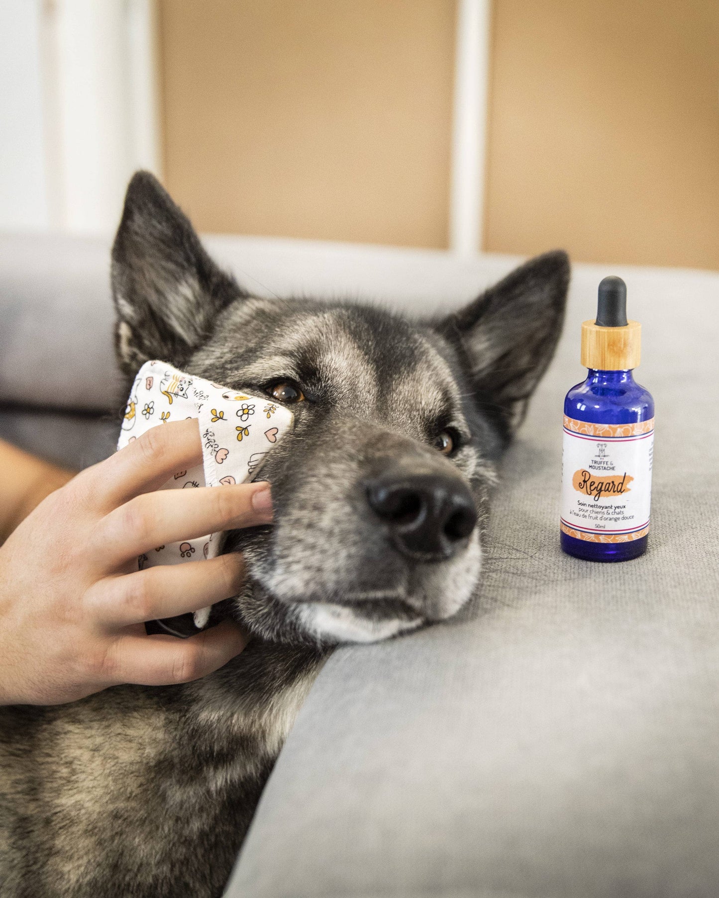 Cuidado Limpiador de ojos para perros y gatos, "Mirada"