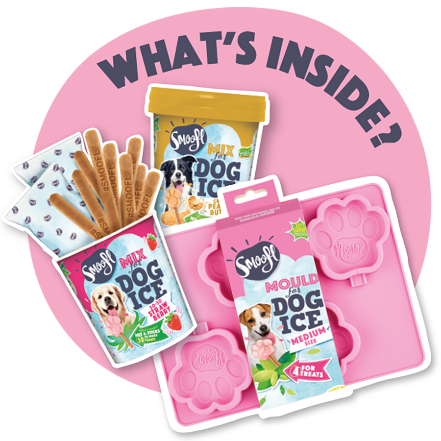 Kit de inicio mediano de helado para perros