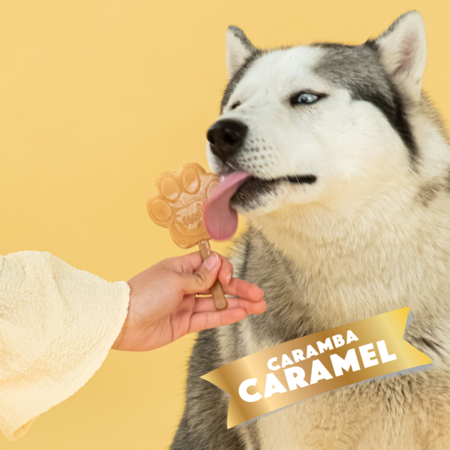 Mezcla cremosa de caramelo para helado de perro