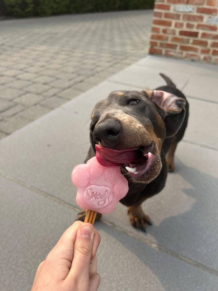 Mezcla de fresa para helado de perro