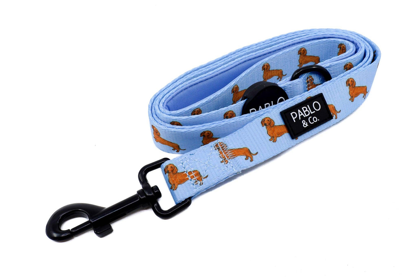 Dachshund: correa para perro: 2.5cm