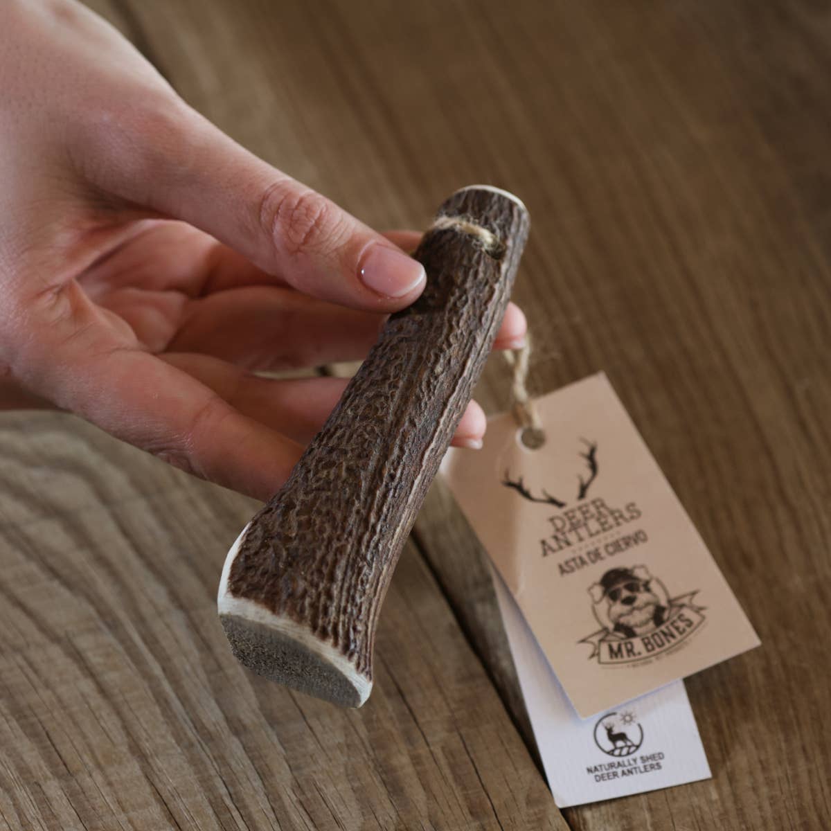 Masticable natural para perros - Asta de Ciervo S (40-75 gr.)