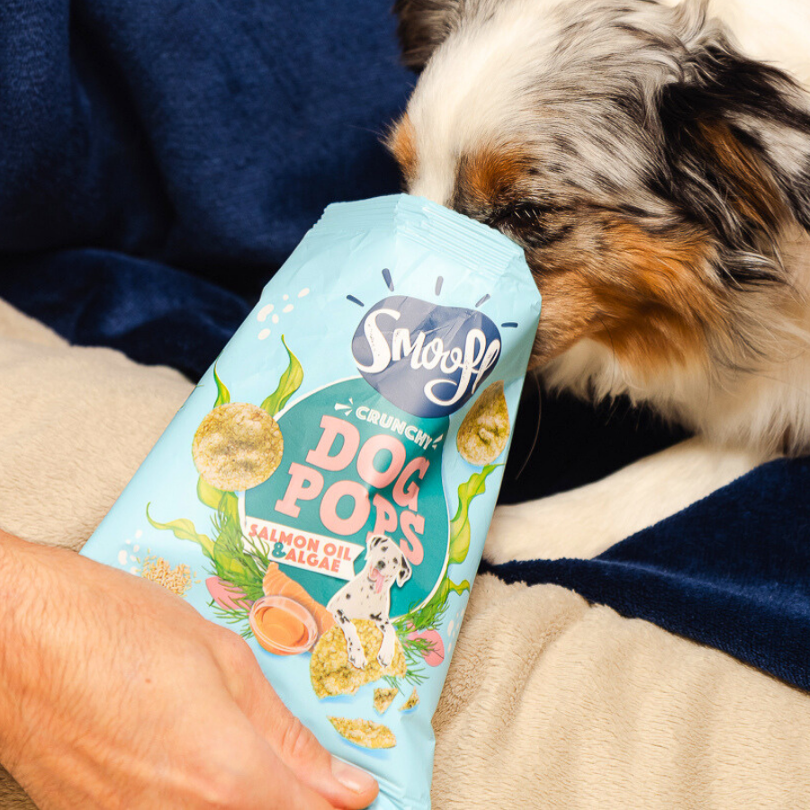 Dog Pops crujientes con aceite de salmón y algas