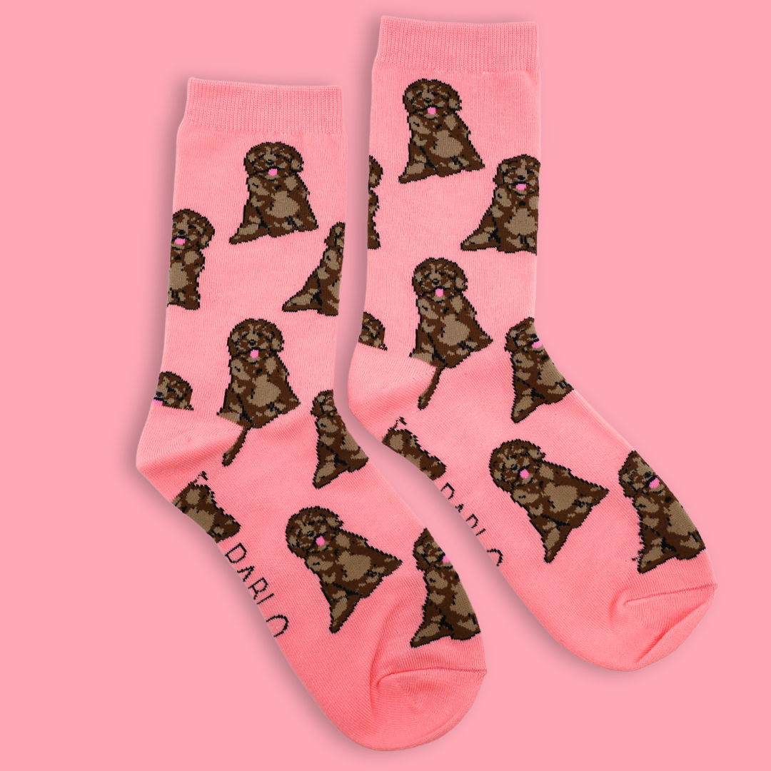 Chaussettes Dog Race: Cocker épagneul