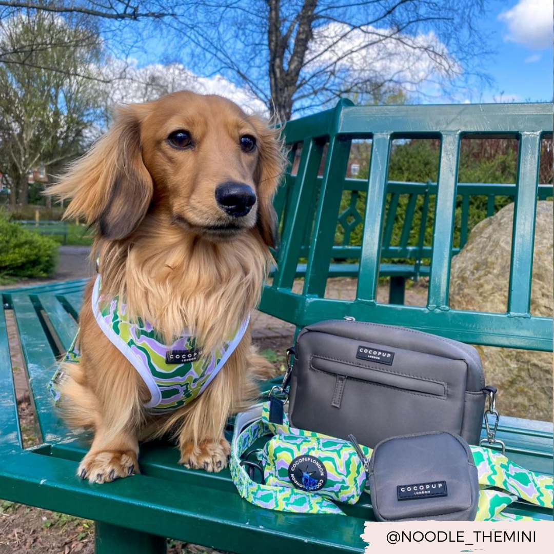 Bolsa para pasear perros - Moka
