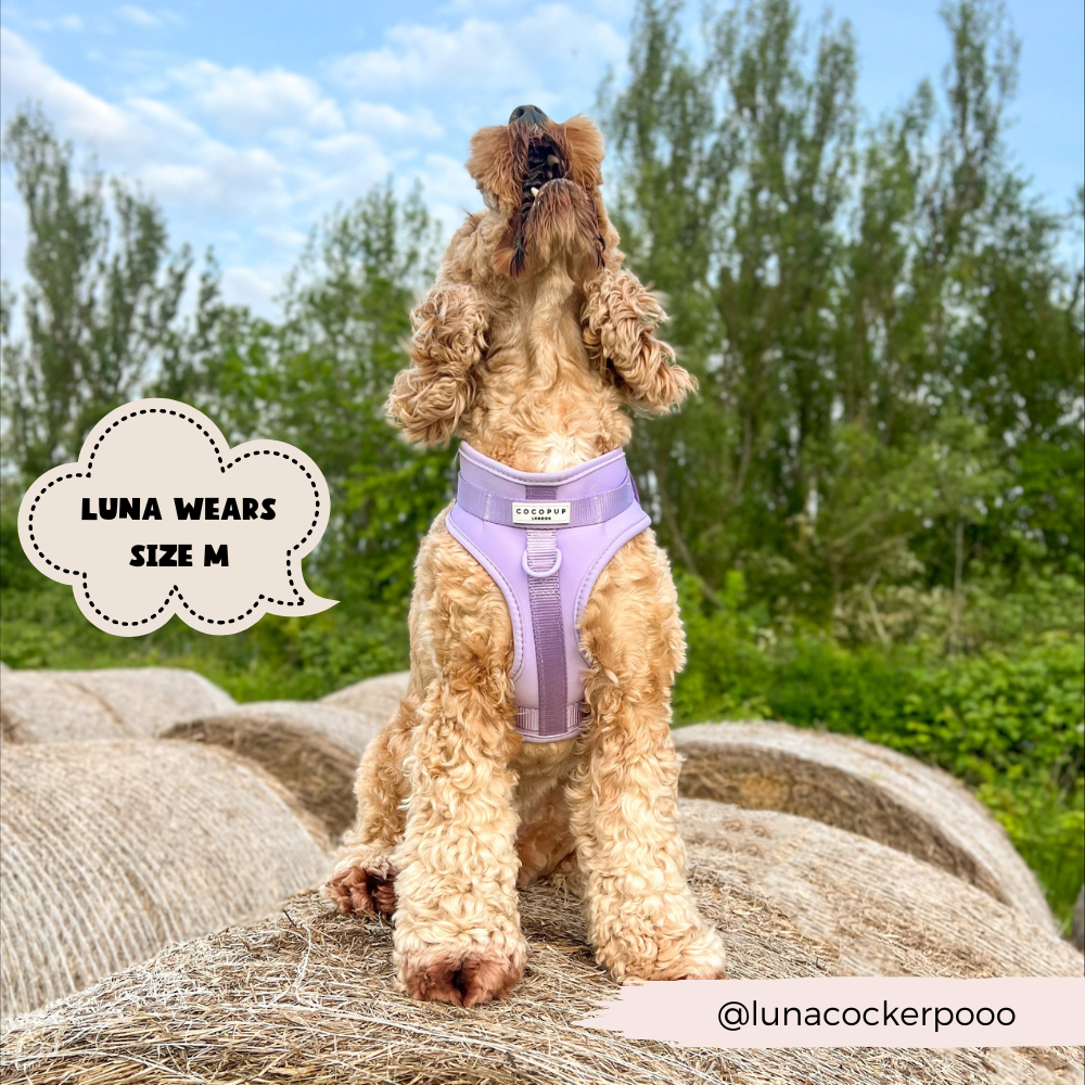 Arnés ajustable para perro NAKD Parma Violets: M