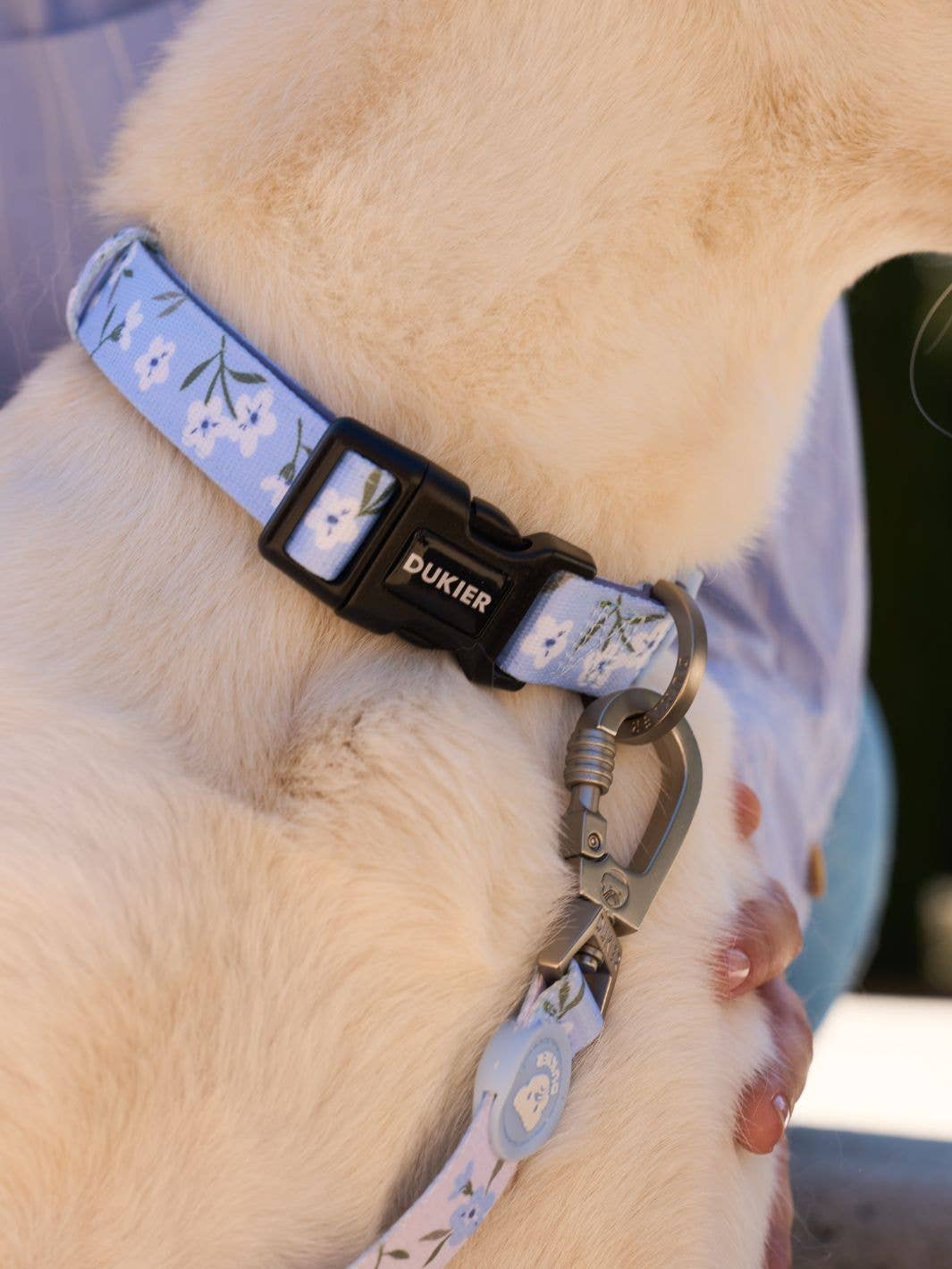 COLLAR PARA PERRO BLOOM: M
