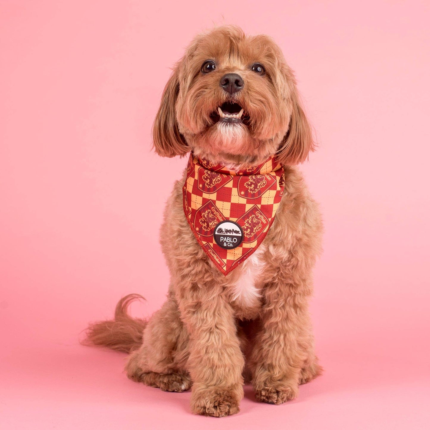 Harry Potter - Gryffindor: Bandana para perro: Mediano