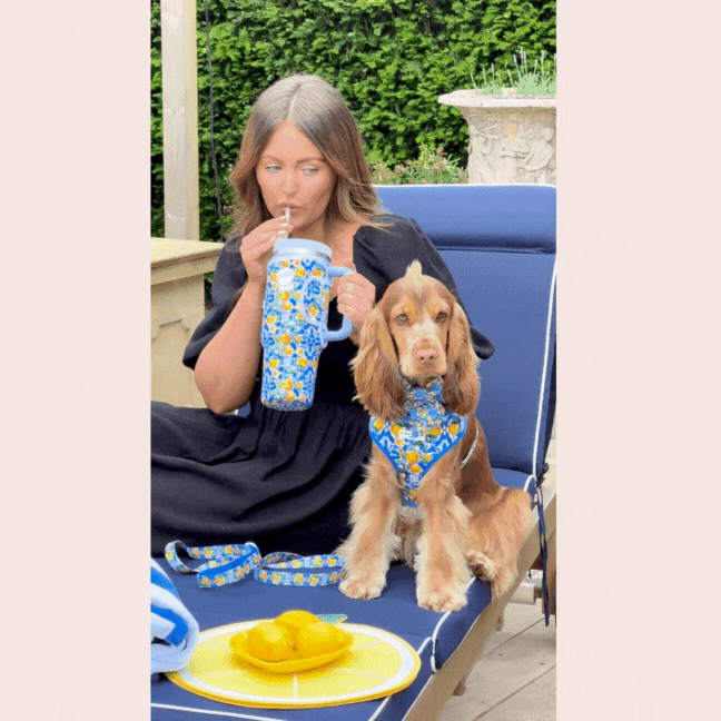 Arnés ajustable para perro con cuello estilo limón Amalfi: L