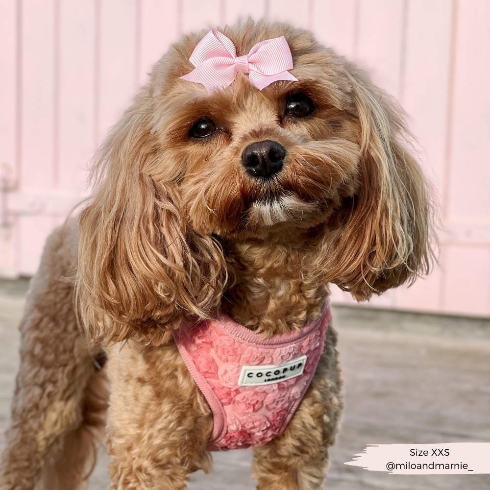 Arnés de cuello ajustable Peony Pup: M
