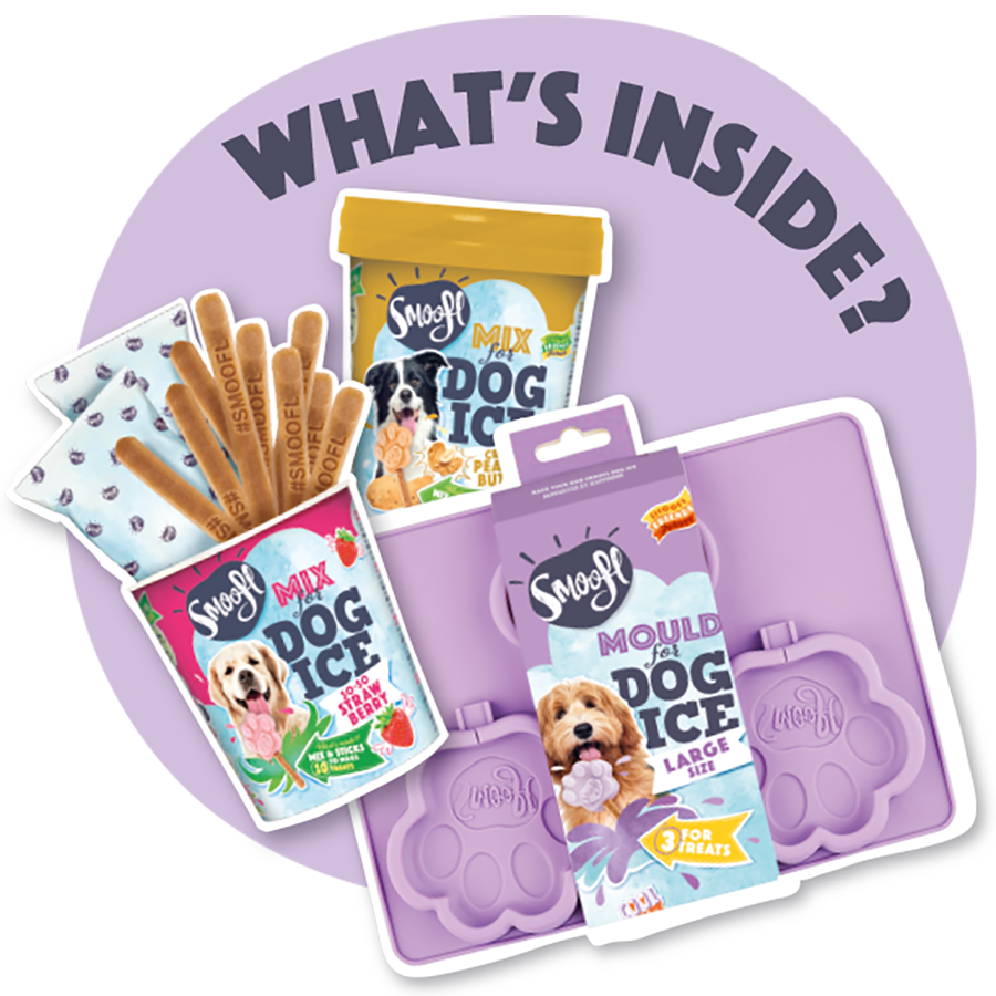 Kit para empezar a hacer helado para perros grandes