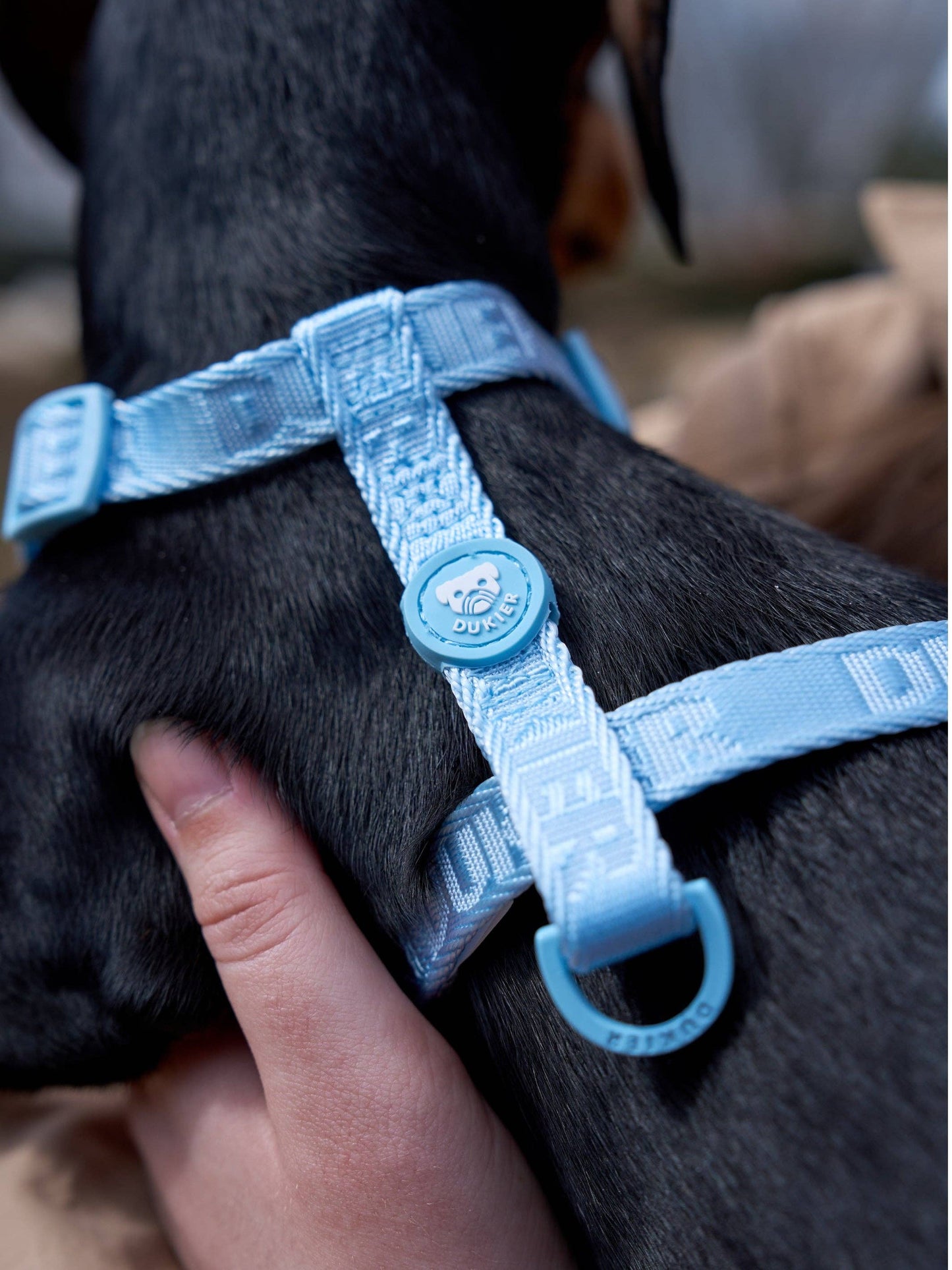 ARNÉS CLÁSICO PARA PERRO SOFT BLUE