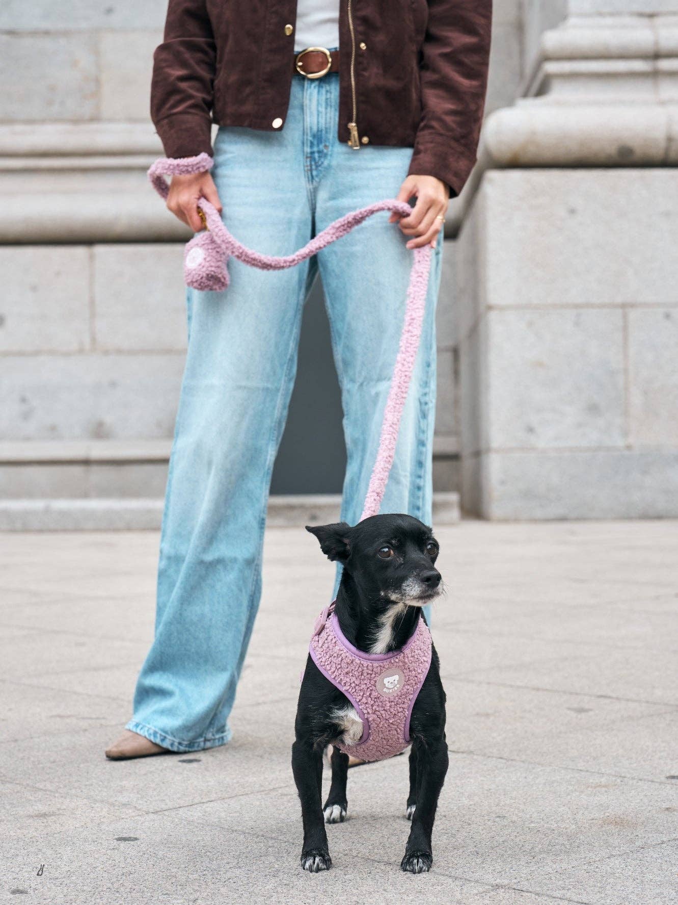 CORREA PARA PERRO TEDDY LILAC: S