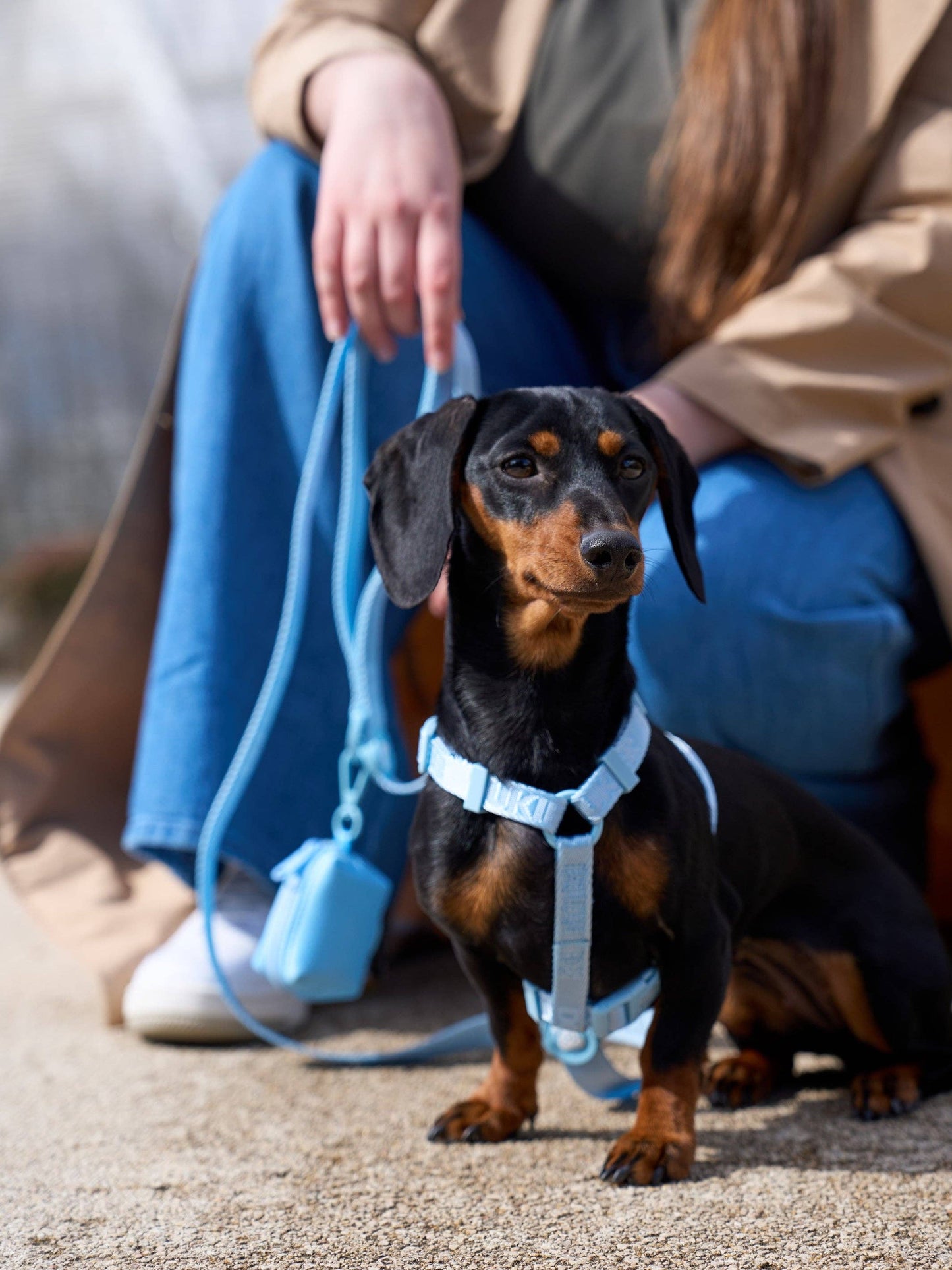 ARNÉS CLÁSICO PARA PERRO SOFT BLUE