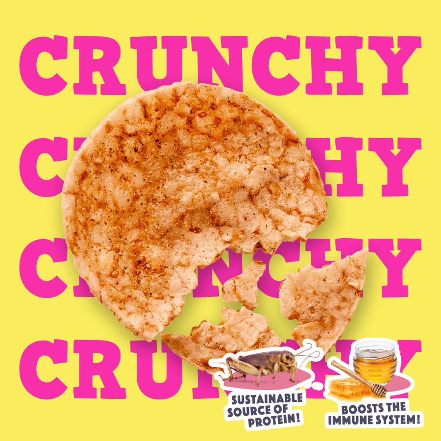 Dog Pops crujientes de grillos y miel para perros