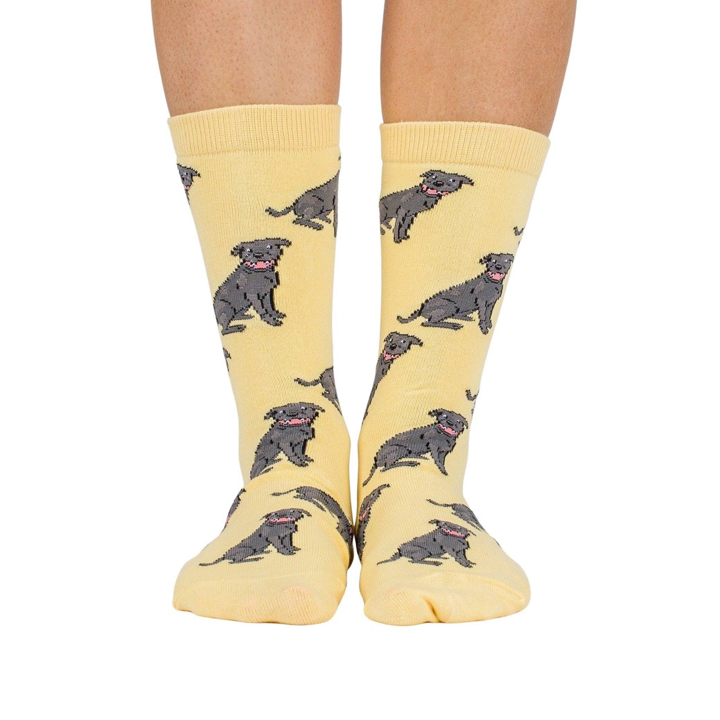 Chaussettes Dog Race: Teckel