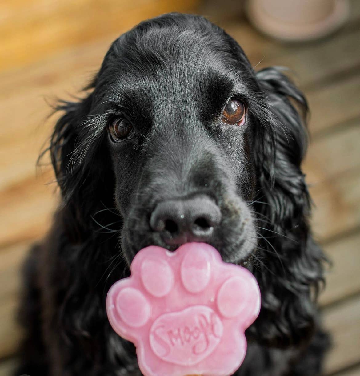 Mezcla de fresa para helado de perro