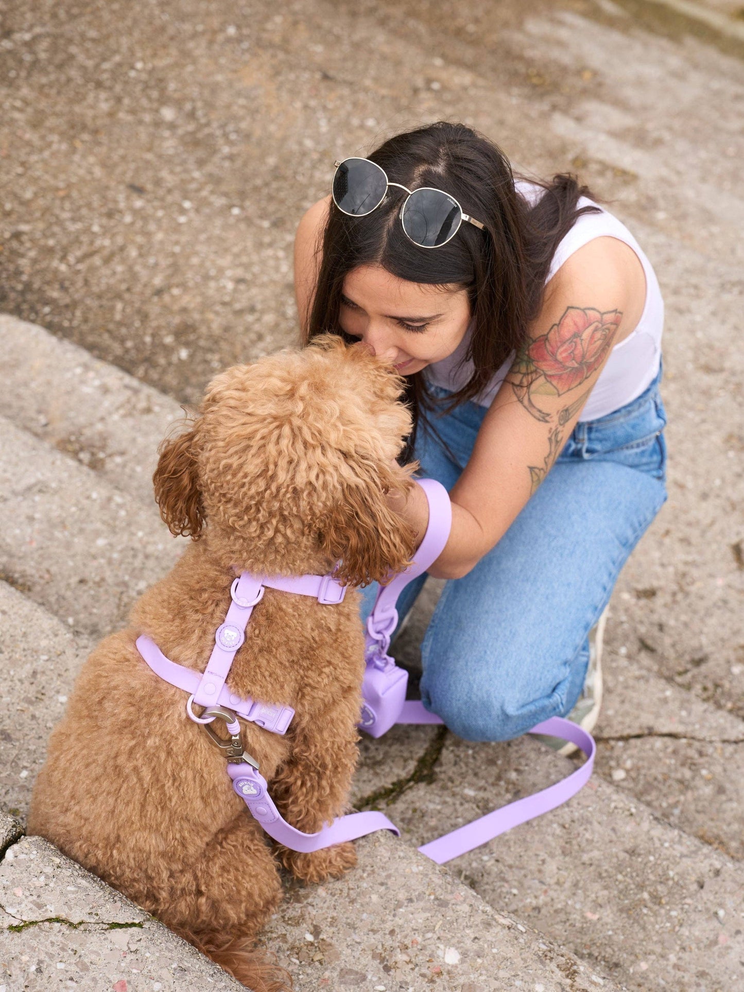 ARNÉS IMPERMEABLE PARA PERRO MORADO: S