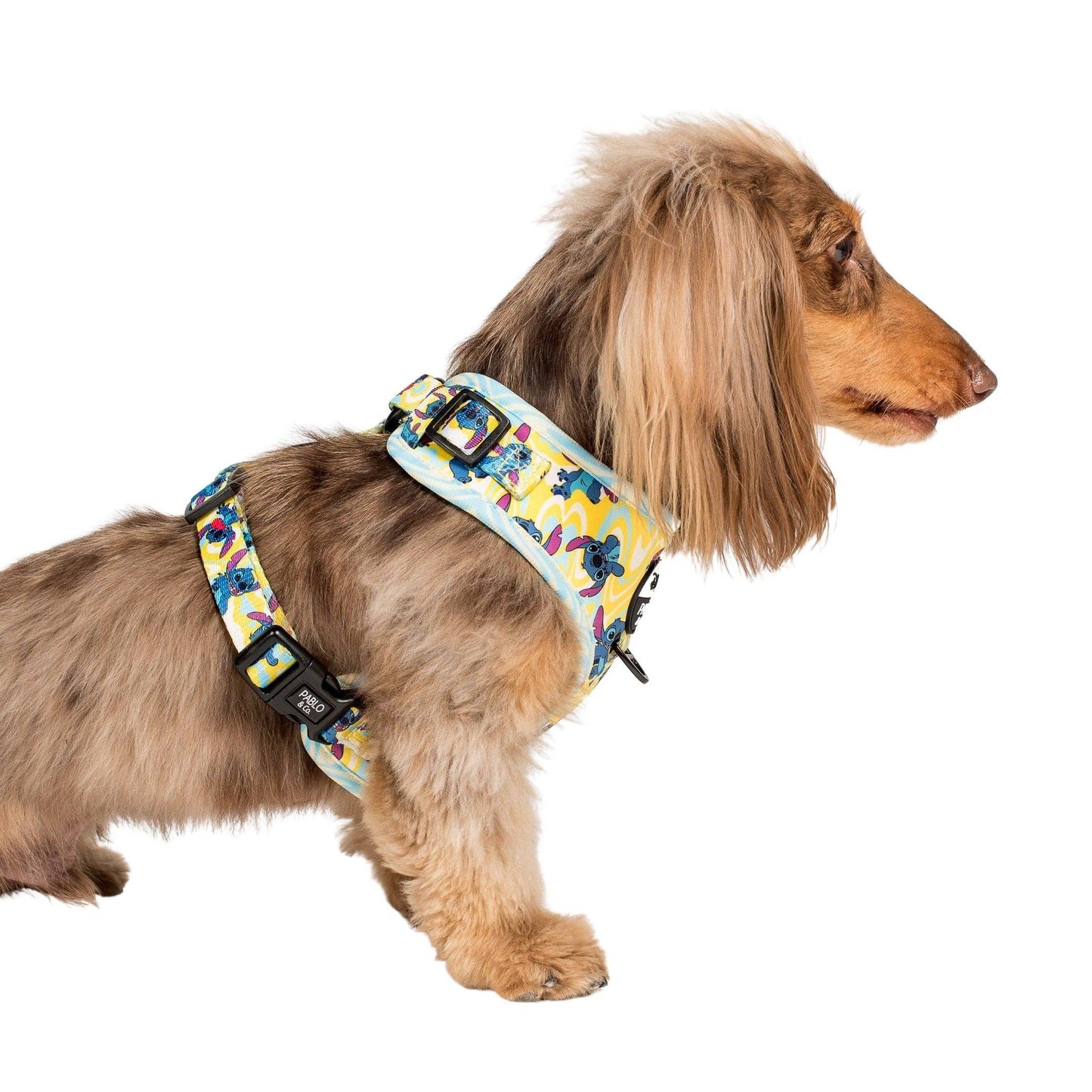 Psychedelic Stitch: arnés ajustable: XS