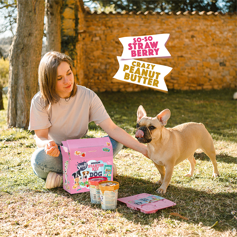 Kit de inicio mediano de helado para perros