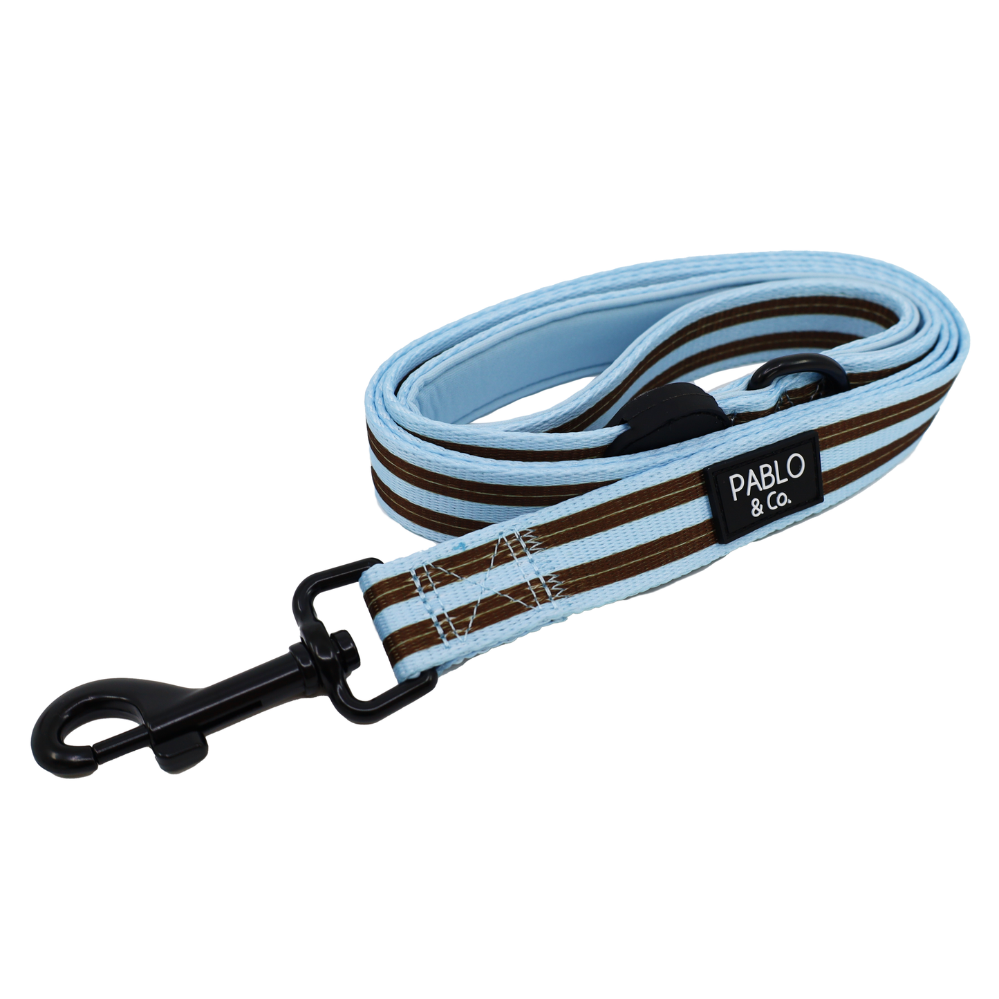 Correa para perro Sunday Stripes: Grande