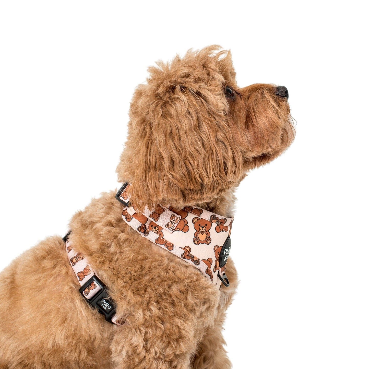 Teddy Bears Picnic: ARNÉS AJUSTABLE PARA PERRO