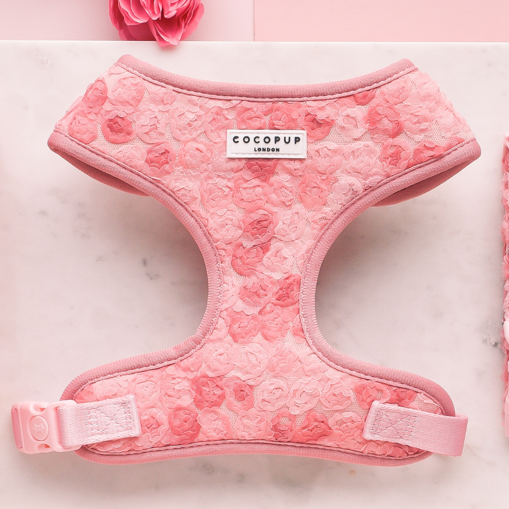 Arnés de cuello ajustable Peony Pup: M