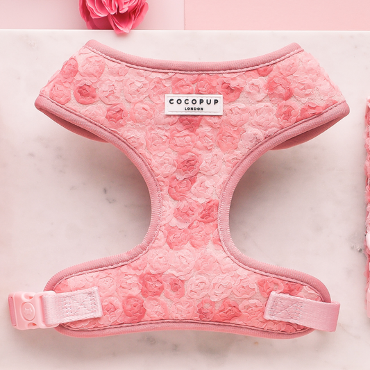 Arnés de cuello ajustable Peony Pup: M
