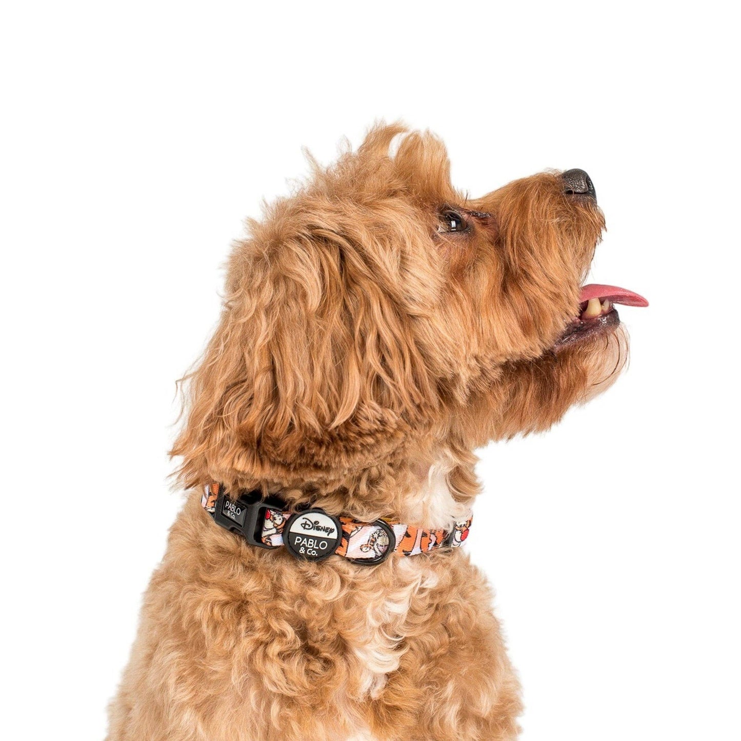 The One of a Kind Tigger: collar para perro: S