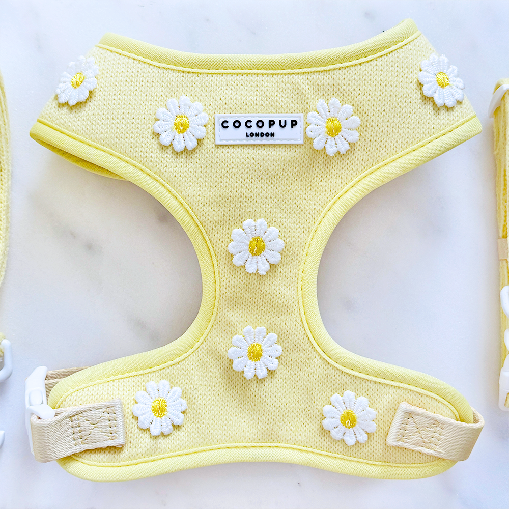 Buttercup Pup Adjustable Neck Harness: M