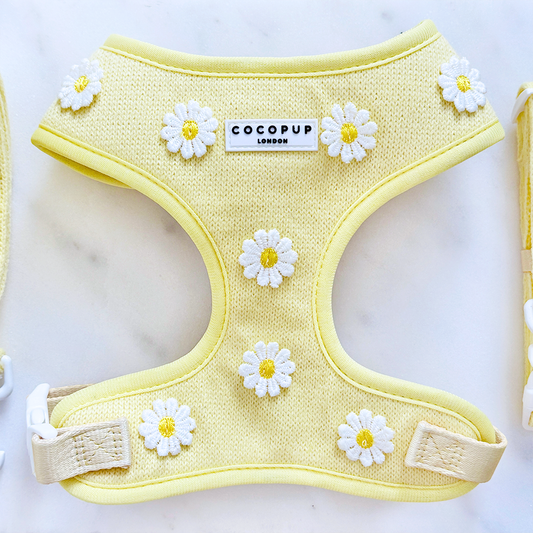 Arnés ajustable para el cuello Buttercup Pup: M