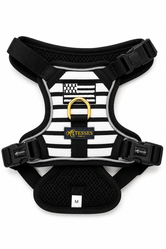 HARNAIS BRETON NOIR