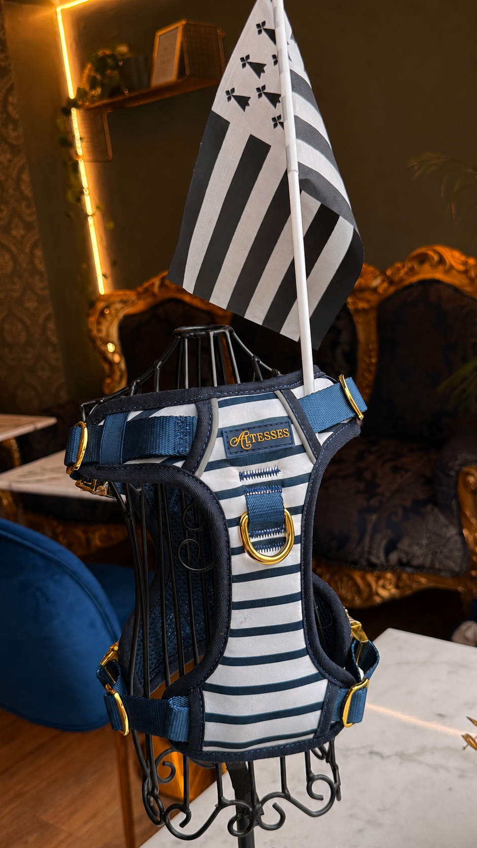 PRÉCOMMANDE EXCLUSIVE - Sens Breton Blue